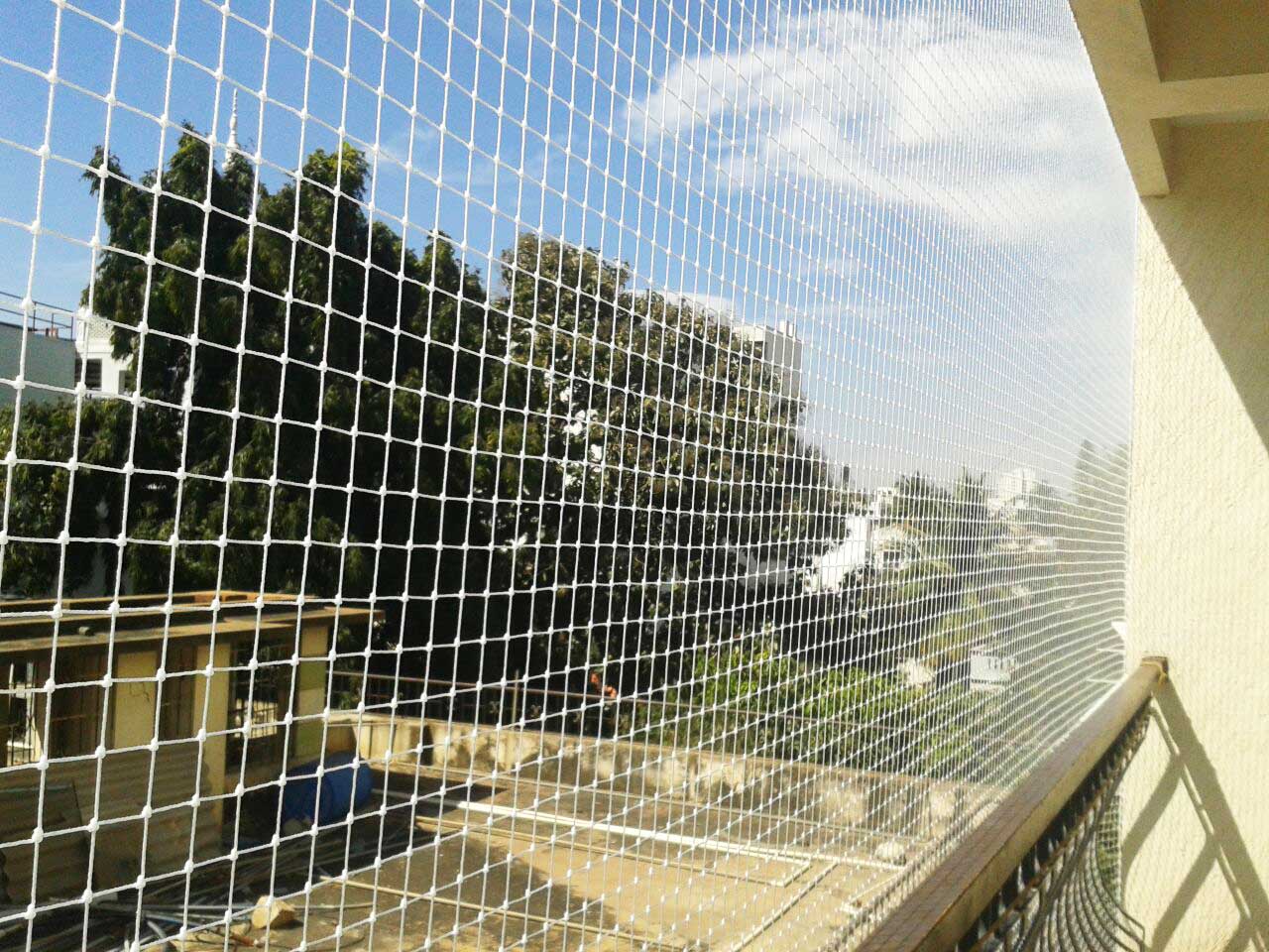 Pigeon Safety Nets Installation in Pune