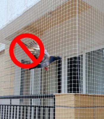 Pigeon Protection Nets in Pune | Call 9170350909 for Durable Nets Fixing